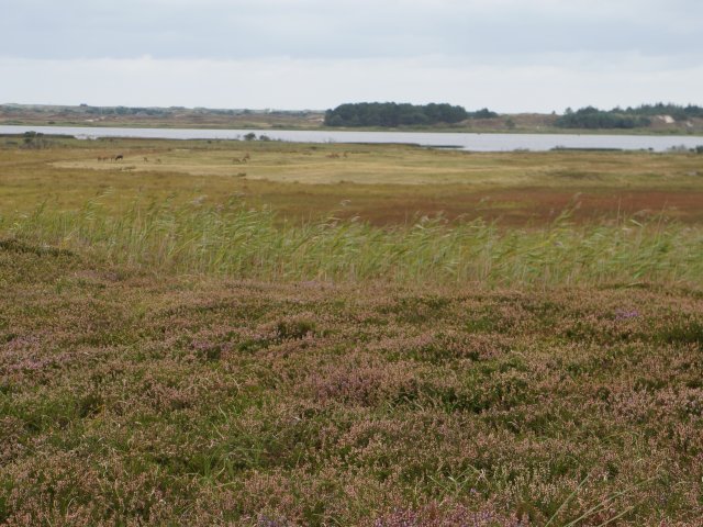 Tur til Jylland Sep. 2020